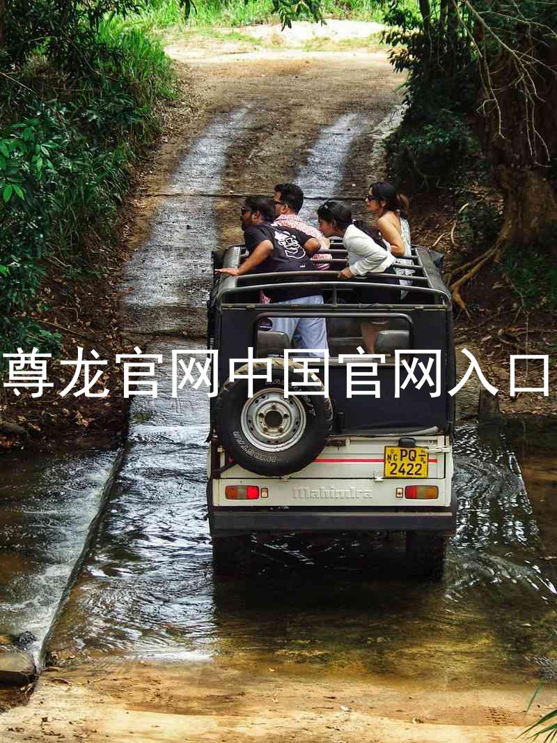 尊龙官网中国官网入口